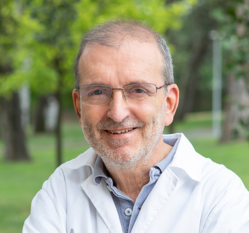 Juan Verdaguer Autonell Directory Research IRBLleida