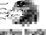 Arfon Fruits