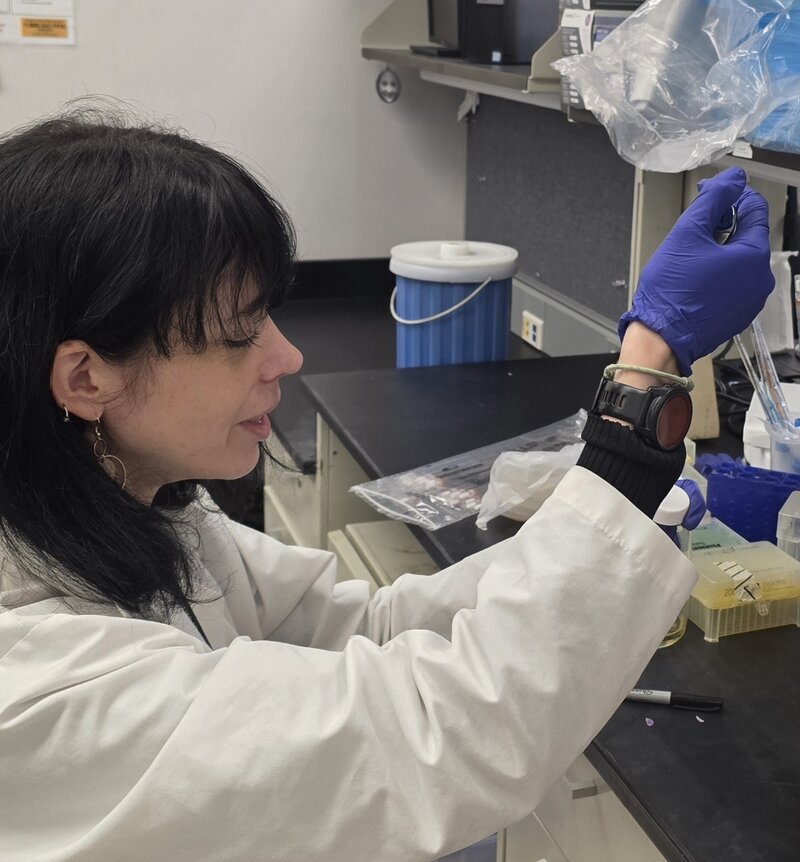 Researchers have identified a new molecular mechanism that explains why ...