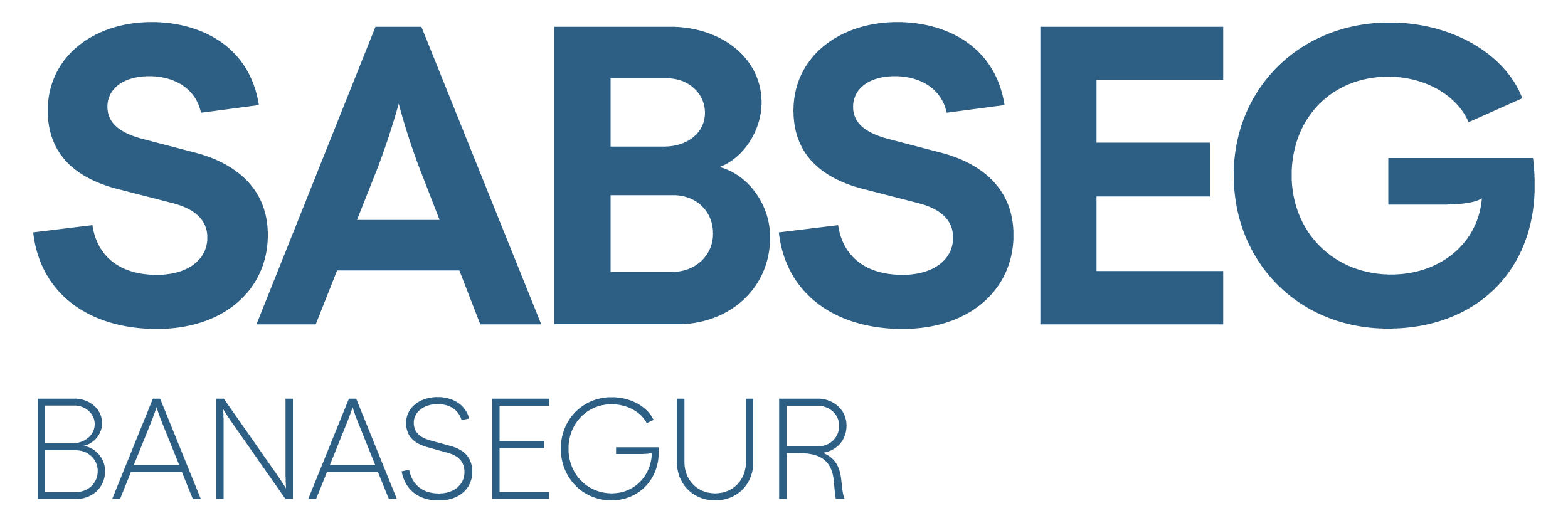 Banasegur SABASEG Group