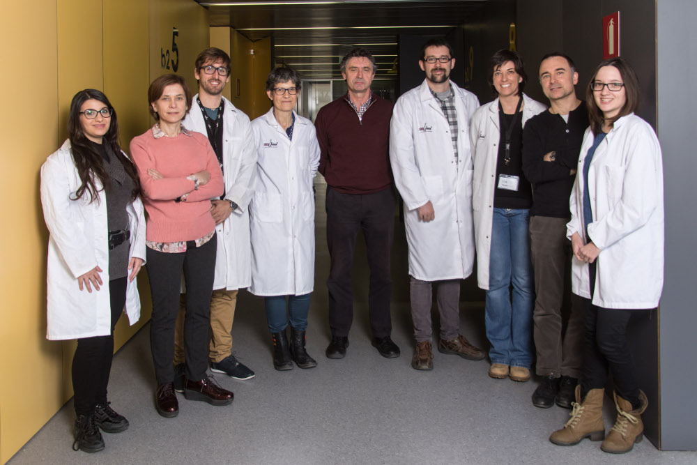 Researchers of the Oxidative Stress Biochemistry Research Group.