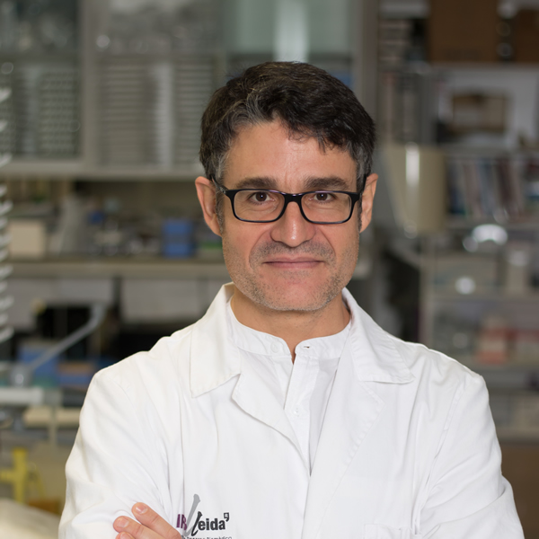 Joaquim Egea Navarro